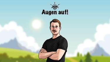 Game "Augen auf!" der BLZ | Bild: Bayerische Landeszentrale für politische Bildungsarbeit 
