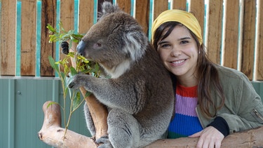 Voll süß, Koala! Tierreporterin Anna kuschelt sich an einen Koala. Koalas haben ein ganz weiches Fell. | Bild: BR / Text und Bild Medienproduktion GmbH & Co.KG