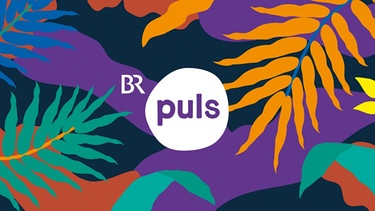 Logo PULS - BR macht Schule | Bild: PULS