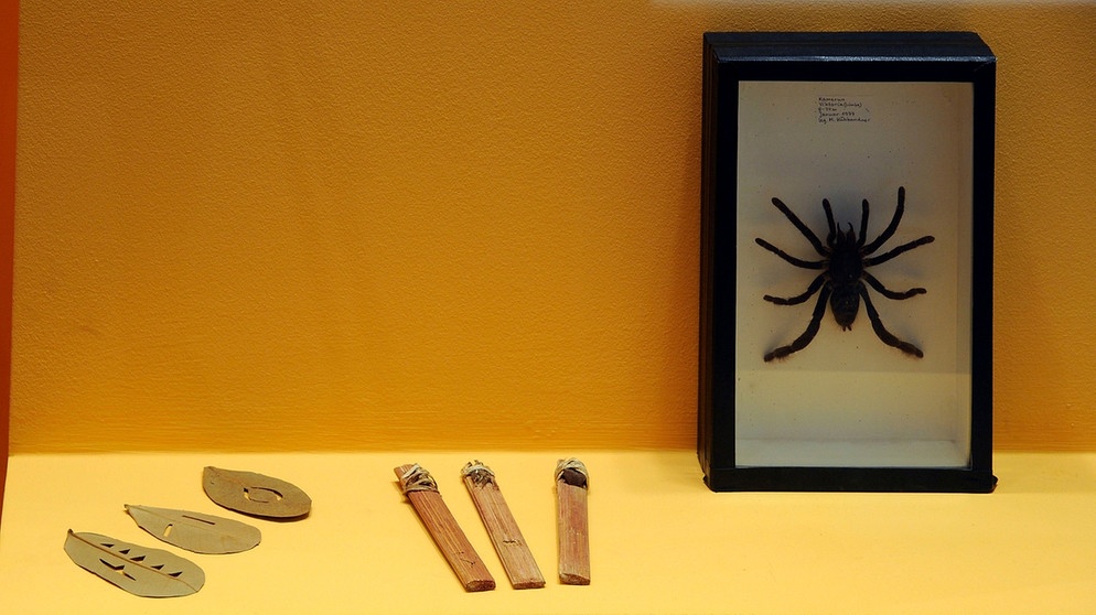 Spinnenorakel Völkerkundemuseum | Bild: Bildarchiv des Staatlichen Museums für Völkerkunde München 