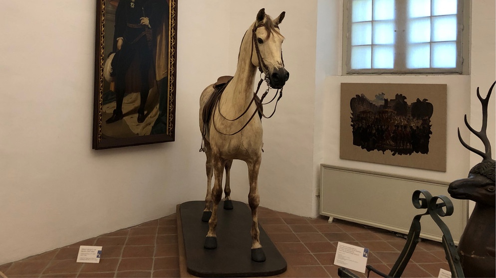 Das ausgestopfte Lieblingspferd von Ludwig II. | Bild: BR | Kristian Dumas