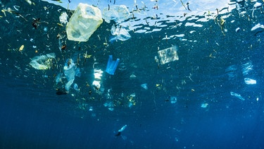 Plastikmüll im indonesischen Meer. | Bild: stock.adobe.com/SHANE GROSS/Stocksy