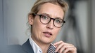 ARCHIV - Alice Weidel, Co-Vorsitzende der AfD-Bundestagsfraktion, aufgenommen am 21.08.2017 in Berlin.   (zu dpa: «Studie: Attraktive Politiker haben größeren Wahlerfolg») Foto: Michael Kappeler/dpa +++(c) dpa - Bildfunk+++ | Bild: dpa-Bildfunk/Michael Kappeler