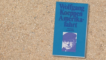 Buch-Cover: "Amerikafahrt" von Wolfgang Koeppen | Bild: Suhrkamp, colourbox.com