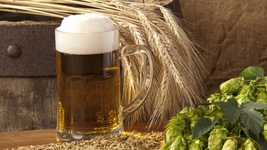 Getreide, Bier und Hopfen | Bild: colourbox.com