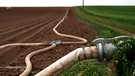 Landwirtschaft mit Wassernutzung  | Bild: BR