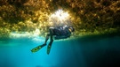 Mexiko, Puerto Morelos: Ein Taucher schwimmt in einer Schicht von Algen. | Bild: picture alliance/Lizzeth Phylomeno/dpa