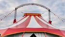Das Dach des Zirkus Corona (Symbolbild) | Bild: picture alliance/dpa | Nicolas Armer