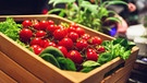 Tomaten und grüne Salate in einer Holzkiste | Bild: colourbox.de/#293032