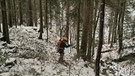 Bergwald mit dicken und dünnen Bäumen im Schnee | Bild: BR