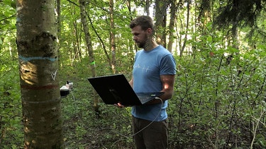 Dominik Landerer vom Forstamt Landsberg am Lech steht mit einem Laptop vor einem Baumstamm und wertet die Daten eines Dendrometers aus, welches das Wachstum des Baumes dokumentiert. | Bild: BR / Florian Regensburger