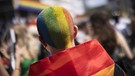 Mensch mit kurzen Haaren in Regenbogenfarben.  | Bild: dpa-Bildfunk/Michael Buholzer