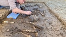 Archäologen haben unweit von Landau das rund 6.800 Jahre alte Skelett eines Mannes aus der Jungsteinzeit entdeckt. | Bild: BR/Harald Mitterer 