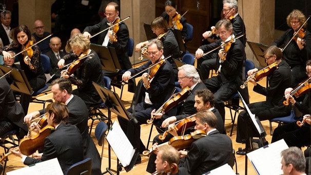 Streicher des Symphonieorchesters des Bayerischen Rundfunks beim Konzert im Münchner Herkulessaal | Bild: Astrid Ackermann