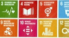 Plakat "Ziele für nachhaltige Entwicklung"  | Bild: BR