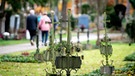 Allerheiligen: Menschen treffen sich auf dem Friedhof | Bild: dpa / Matthias Balk