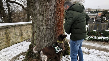 Spürhund Mäx und Baumsachverständiger Edgar Wenisch stehen an einem Baum. | Bild: BR/Anne Axmann