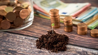 Symbolbild: Ein Pflanzenspross wächst neben Euroscheinen und Geldmünzen aus der Erde. | Bild: picture alliance / dpa-tmn | Christin Klose