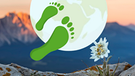 zwei grüne Fußabdrücke auf hellem Globus- DAV-Sektion München untersucht ihren CO"-Fußabdruck  | Bild: DAV - Sektion München