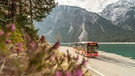Ein Bus der neue Buslinie fährt von Oberau nach Reutte in Tirol, im Hintergrund ist der Plansee zu sehen.  | Bild: Tourismusverband Reutte/ Simon Bauer 