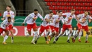 Regensburger Jubel nach dem Einzug ins Viertelfinale | Bild: picture-alliance/dpa/Armin Weigel