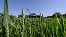 Ackern gegen Putin - Landwirtschaft in Kriegszeiten | Bild: picture alliance / Photoshot |Dmytro Smolyenko / Avalon