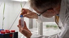 Prof. Dr. Stephan Clemens, Pflanzenphysiologe an der Uni Bayreuth,  betrachtet eine Pflanze, die in einem Reagenzgefäß wurzelt | Bild: BR