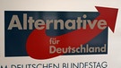 Logo der AfD | Bild: Bayerischer Rundfunk 2024