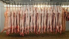 Geschlachtete Schweine in einem Schlachthof.  | Bild: picture alliance