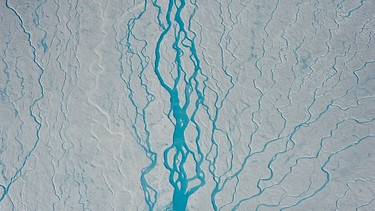 Die Gletscherschmelze in Grönland. In den Höhenlagen des grönländischen Eisschilds war das erste Jahrzehnt des 21. Jahrhunderts das wärmste seit 1000 Jahren. | Bild: dpa-Bildfunk/Sepp Kipfstuhl