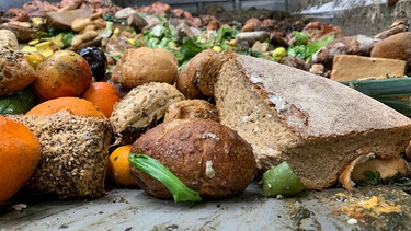 Lebensmittelabfälle in einer Biogasanlage: Daraus entsteht Bio-Dünger.  | Bild: BR/ Elisabeth Tyroller 
