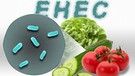 Illustrierte Erreger, der Schriftzug EHEC und verschiedene Gemüsesorten | Bild: picture alliance