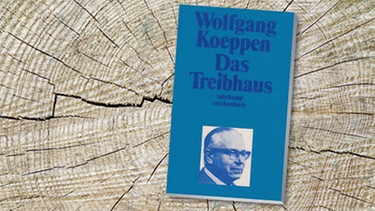 Buch-Cover: "Das Treibhaus" von Wolfgang Koeppen | Bild: Suhrkamp, colourbox.com
