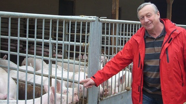 Öko-Landwirt Hans Hohenester auf seinem Hof in Altdorf bei Landshut mit seinen über 900 Schweinen. | Bild: BR, Regina Kirschner