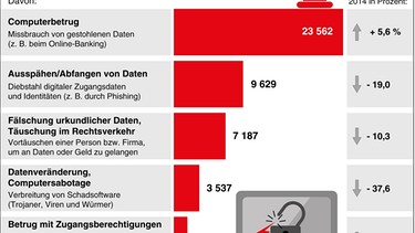 Grafik zur Cyberkriminalität in Deutschland in 2015 | Bild: picture-alliance/dpa | Globus-Grafik