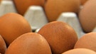 Symbolbild: Eier auf einem Hühnerhof | Bild: picture-alliance/dpa