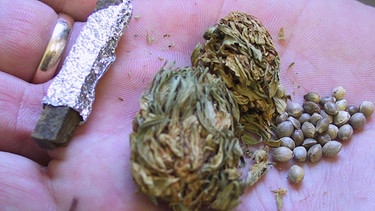 Hanf (Cannabis): Haschisch = Harzextrakt (links), Marihuana = getrocknete Blüten (mitte), Hanfsamen (rechts) | Bild: colourbox.com