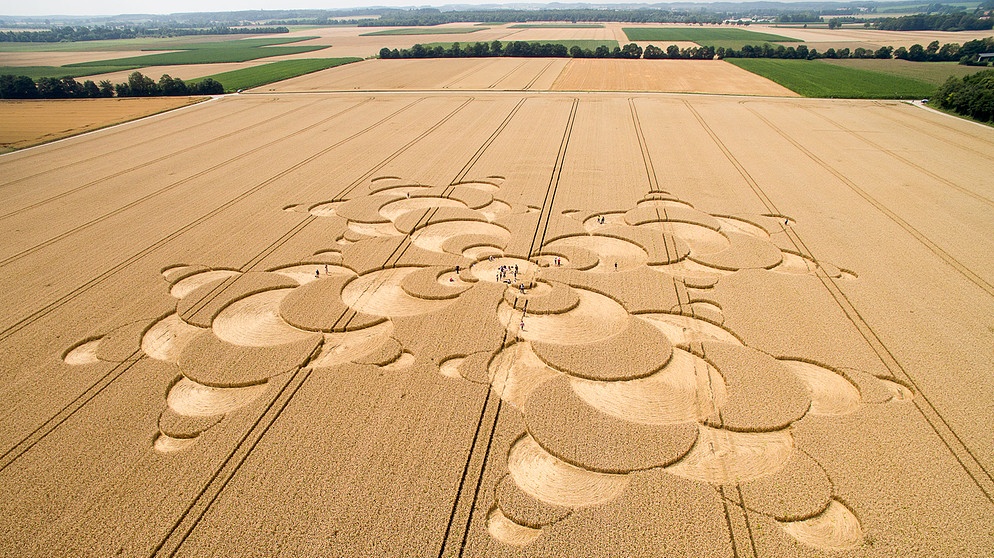 Kornkreise in einem Weizenfeld in der Nähe von Mammendorf | Bild: picture-alliance/dpa/Sven Hoppe