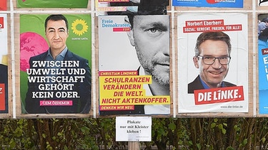 Wahlplakate - Bundestagswahl 2017; Im Focus: Linke, FTP und Bündnis 90/Die Grünen | Bild: picture-alliance/dpa