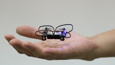 Kleinste Drohne der Welt, QuattroX, schwebt über Hand | Bild: picture-alliance/dpa | Kiyoshi Ota