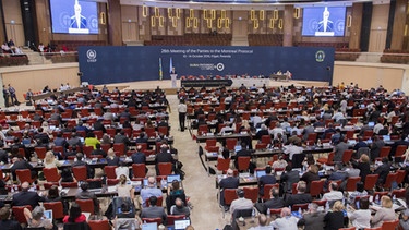 Klimakonferenz in Kigali (Ruanda) | Bild: picture-alliance / dpa