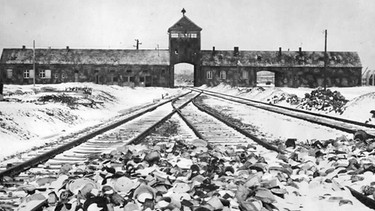 Tor, Rampe und Gleise des Vernichtungslagers Auschwitz-Birkenau (undatierte Aufnahme) | Bild: picture-alliance/dpa