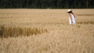 Ein Kornkreis in einem Weizenfeld in der Nähe von Mammendorf (Bayern). Das Muster hat einen Durchmesser von 180 Metern. | Bild: dpa-Bildfunk/Sven Hoppe