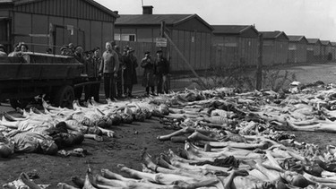 US-Journalisten am 4. Mai 1945 im KZ Dachau: Rund 200 Leichen ermorderter Häftlinge liegen aufgereiht am Boden | Bild: SZ Photo