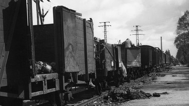 Befreiung des KZ Dachau: Eisenbahnzug mit Leichen | Bild: SZ Photo