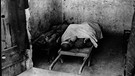 KZ Flossenbürg: Tote Häftlinge, von US-Soldaten gefunden | Bild: National Archives Washington / KZ-Gedenkstätte Flossenbürg