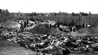 KZ Landsberg nach Befreiung: Deutsche Zivilisten müssen Leichen exhumieren | Bild: picture-alliance/dpa