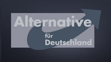 Logo AfD | Bild: BR