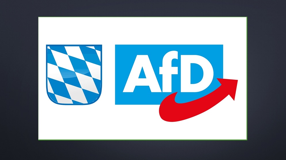 AfD Bayern Logo bunt  | Bild: BR