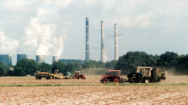 Landwirtschaft in der DDR | Bild: picture-alliance/dpa